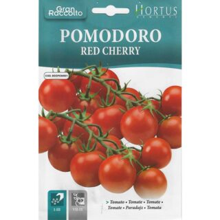 cheery-tomato-pomodoro-red-cherry-hortus-seeds-dubai-uae