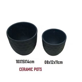 decorative-ceramic-pots