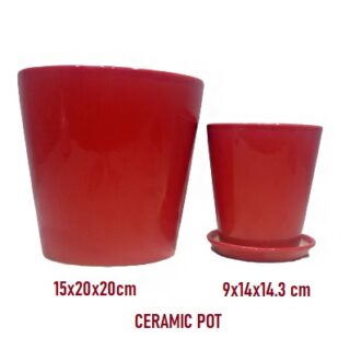 red-ceramic-pot-indoor-plants