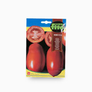 tomato-roma-vf-seeds-agrimax-seeds-online-dubai-uae