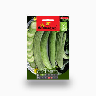 armenian-cucumber-agrimax-seeds-dubai-uae