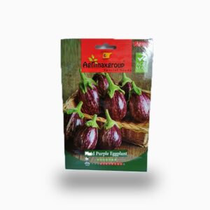 Plaid Purple Eggplant | Agrimax Seeds