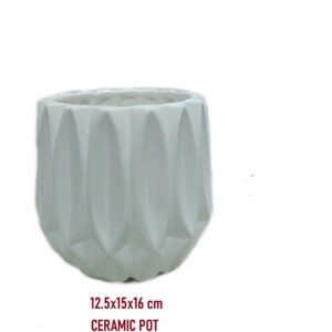 White Ceramic Pots – New Design – TLPT000170