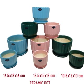 ceramic-pots-indoor-plants